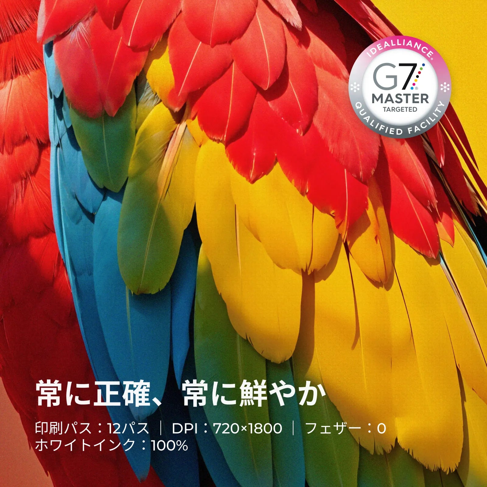 xTool Apparel Printer(アパレルプリンター)：アパレル印刷の新時代